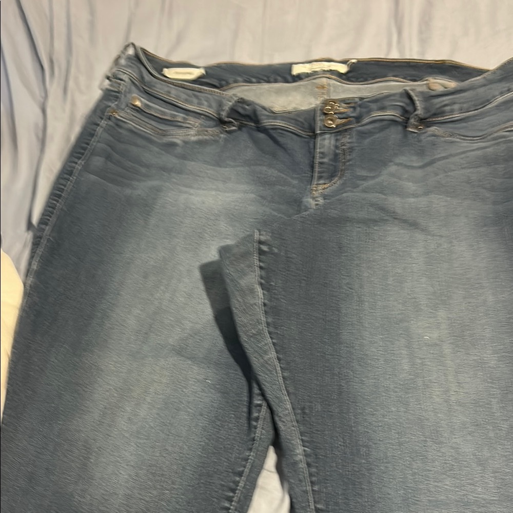 Torrid Blue Denim Jeggings